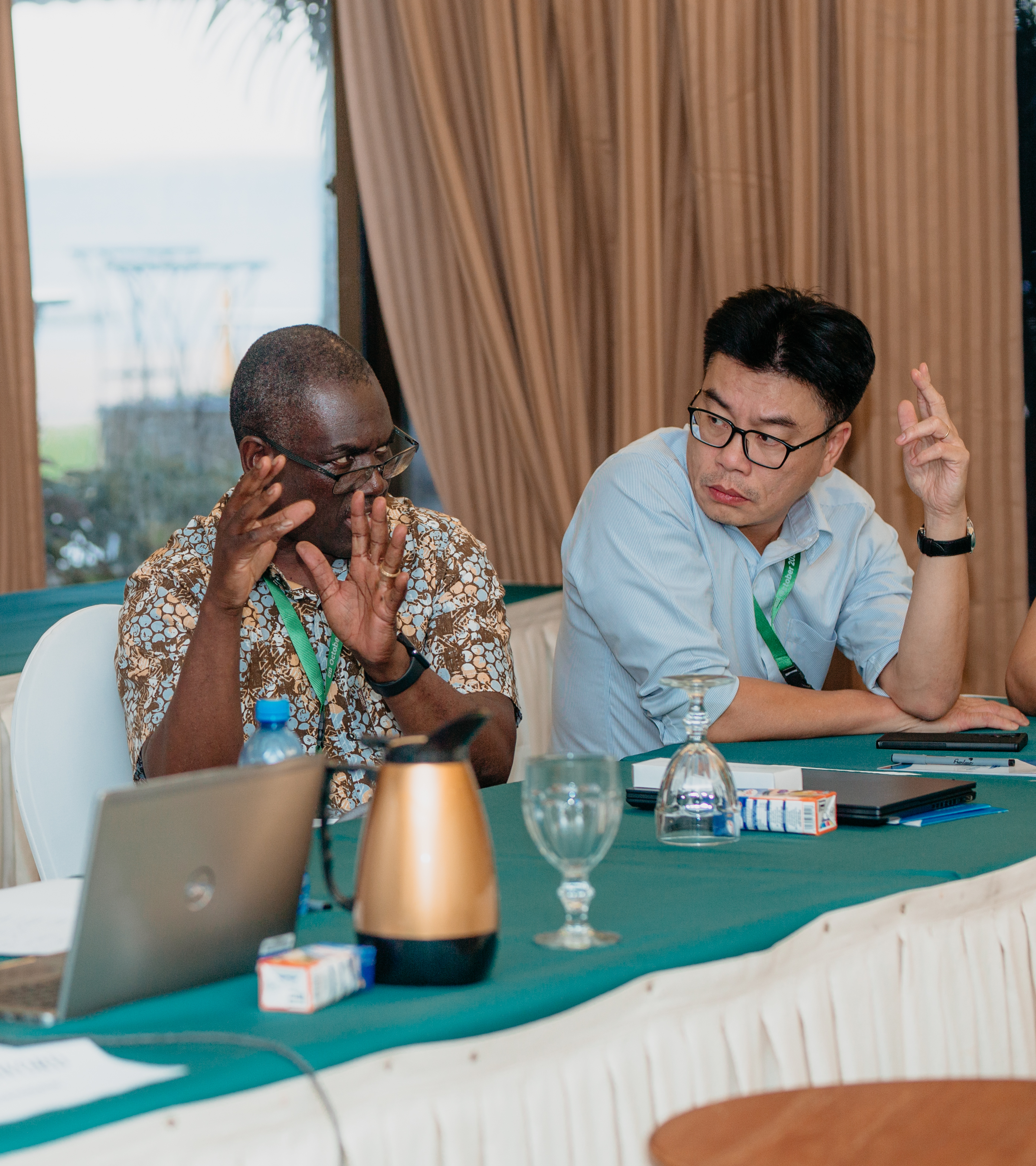 EfD Capacity development committee