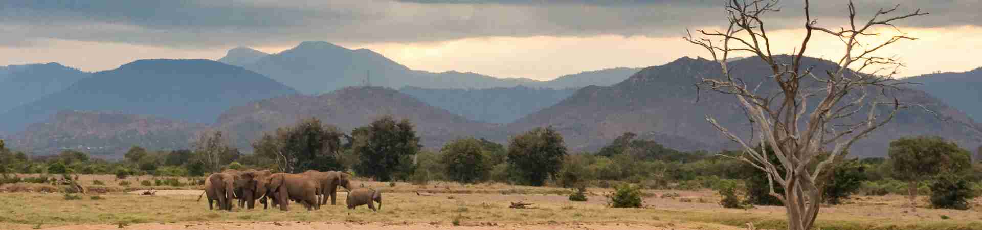 Kenya