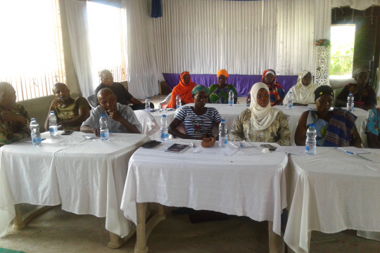 Some of the participants listening the presentations. Photo: EfD Tanzania.