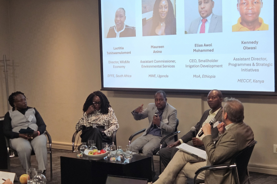 Panel of policymakers discussing regional priorities