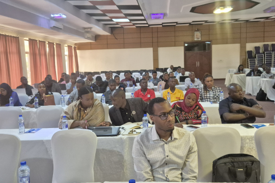 The participants following the presentation during worshop. Photo: EfDT