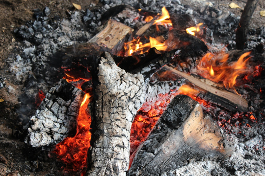 biomass