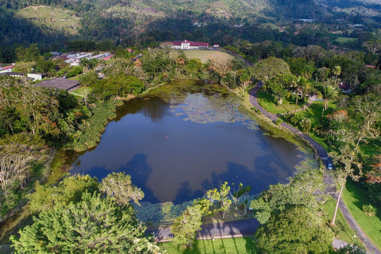 The Wallace Conference will be held at CATIE's Campus, in Costa Rica. Photo: CATIE