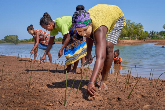 Farm women working