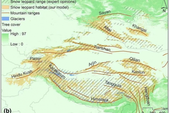 Distribution of snow leopards