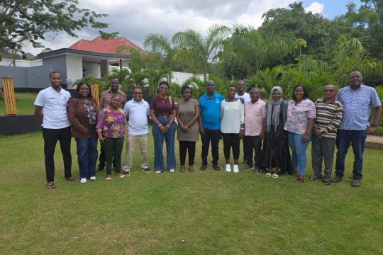 The EfDT team during the working session: Photo by EfDT