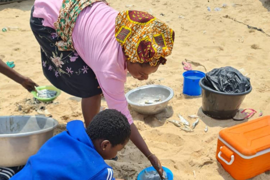 Fisherfolk are seen sorting out fish at the sea shore