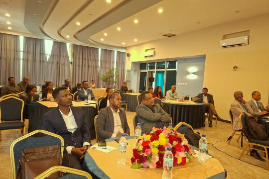 Participants in the event