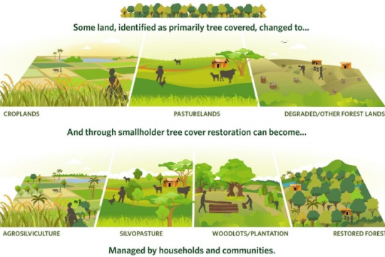 A depiction of how forestlands that underwent land use change to become croplands, pasturelands, or degraded forestlands can incorporate smallholder tree cover restoration to become agrosilviculture, silvopasture, woodlots or plantations, or restored forests