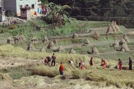 Agriculture in Ethiopia