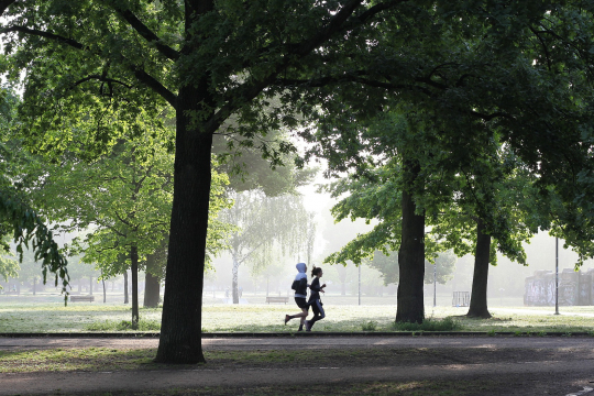 Joggers in park