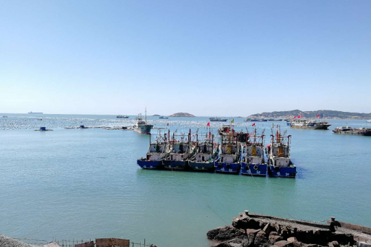 Fishery Processing in China