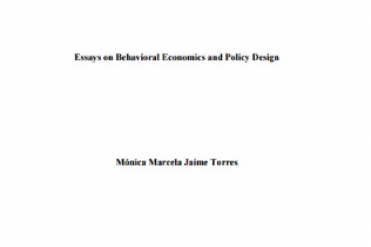 behavioral economics bachelor thesis