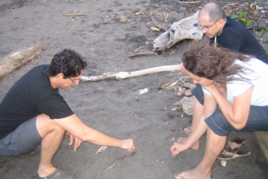 Coastal collaborative work in Costa Rica. 