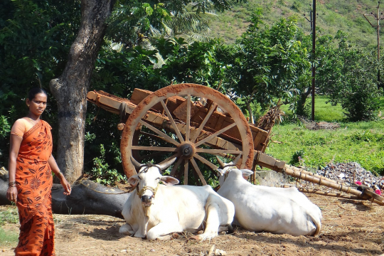 Woman in rural India