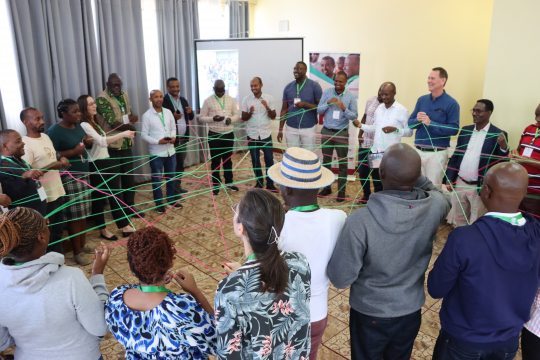 Building a network