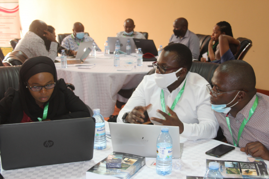 Participants in the workshop. Photo: Anders Ekbom.