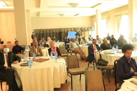 Workshop participants