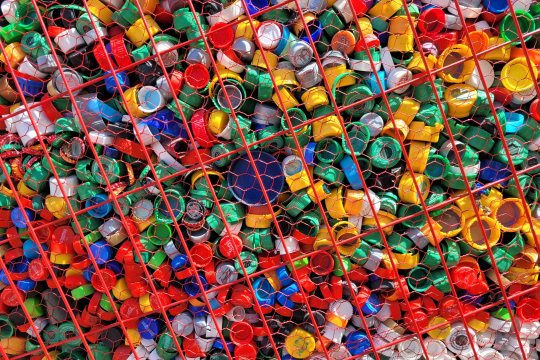 Photo: Killari Hotaru, Unsplash