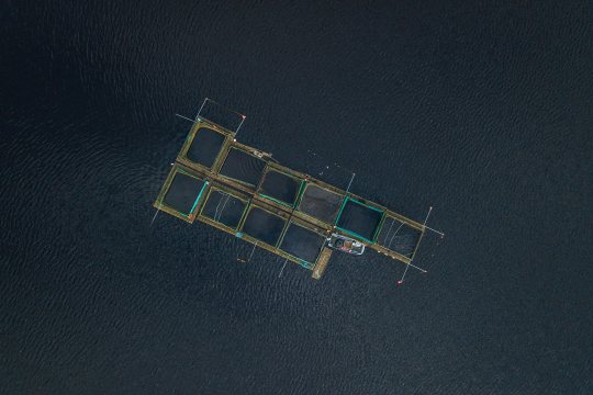 Photo by Matthew Feeney on Unsplash