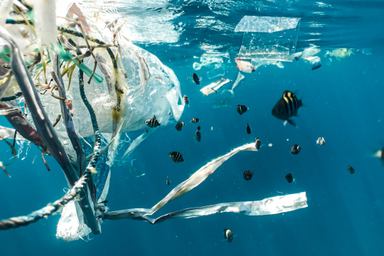 Marine plastic pollution
