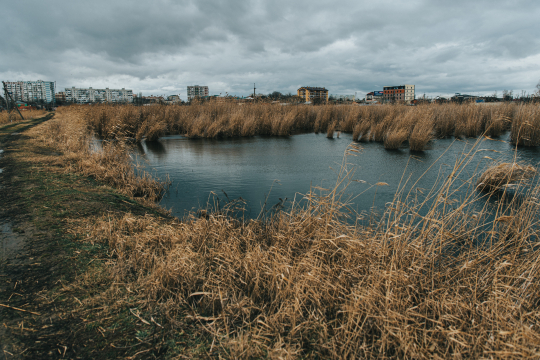 Photo by Stanislav Kondratiev, Pexels