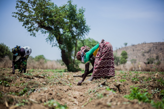 Women in a rural agricultural landscape. Photo: Pexels