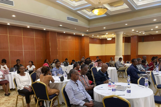 The validation workshop. 