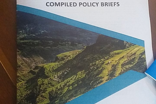 cover page of the policy brief