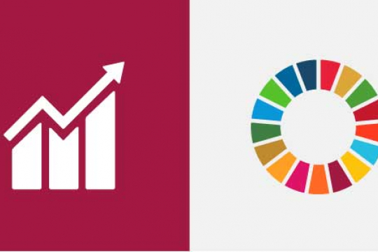 SDG8