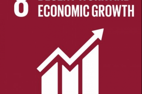 SDG 8