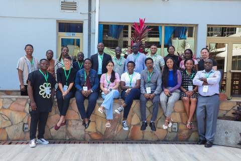 Early Career fellows
