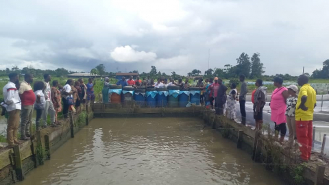 Fish farm training