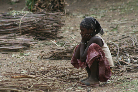 Child with fire wood