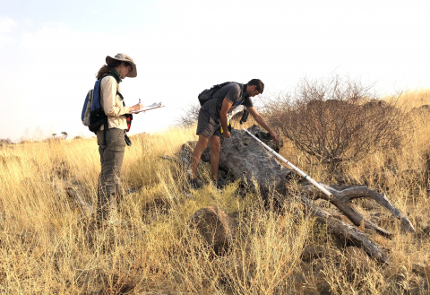 Researchers in the field