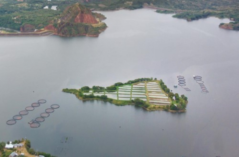 Fish farm