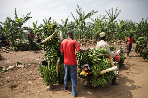 Villagers at food market.
