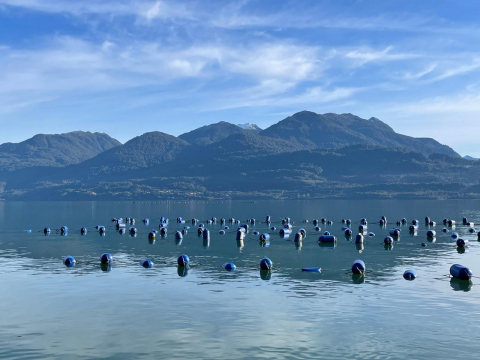 Aquaculture
