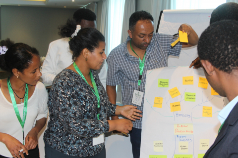 IGE Fellows working on the Problem Tree