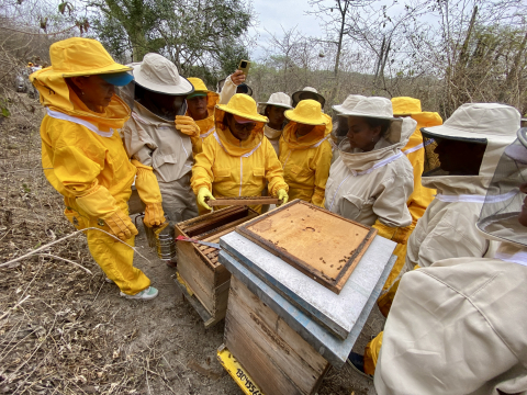 People around a beehive