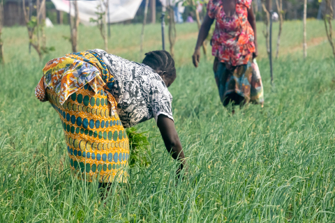 Women farmers