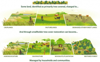 A depiction of how forestlands that underwent land use change to become croplands, pasturelands, or degraded forestlands can incorporate smallholder tree cover restoration to become agrosilviculture, silvopasture, woodlots or plantations, or restored forests