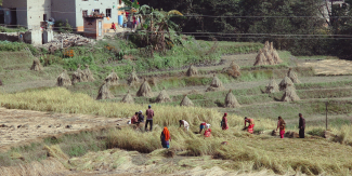 Agriculture in Ethiopia