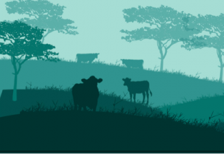 NAMAs should be linked to and aligned with policy instruments at the national and sectoral levels