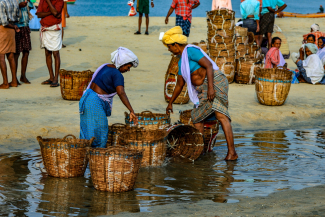 Fish market in Kerala