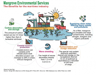 Mangrove Environmental Services - The benefits for the maritime industry