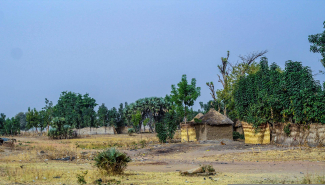 Nigerian countryside