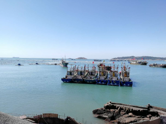 Fishery Processing in China