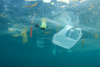 Plastic pollution in the ocean