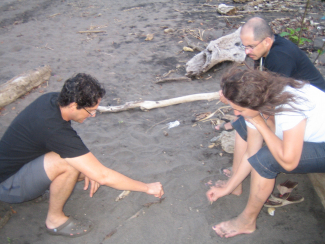 Coastal collaborative work in Costa Rica. 